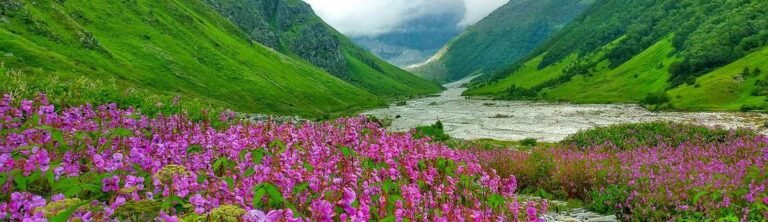 Valley Of Flower 768x222