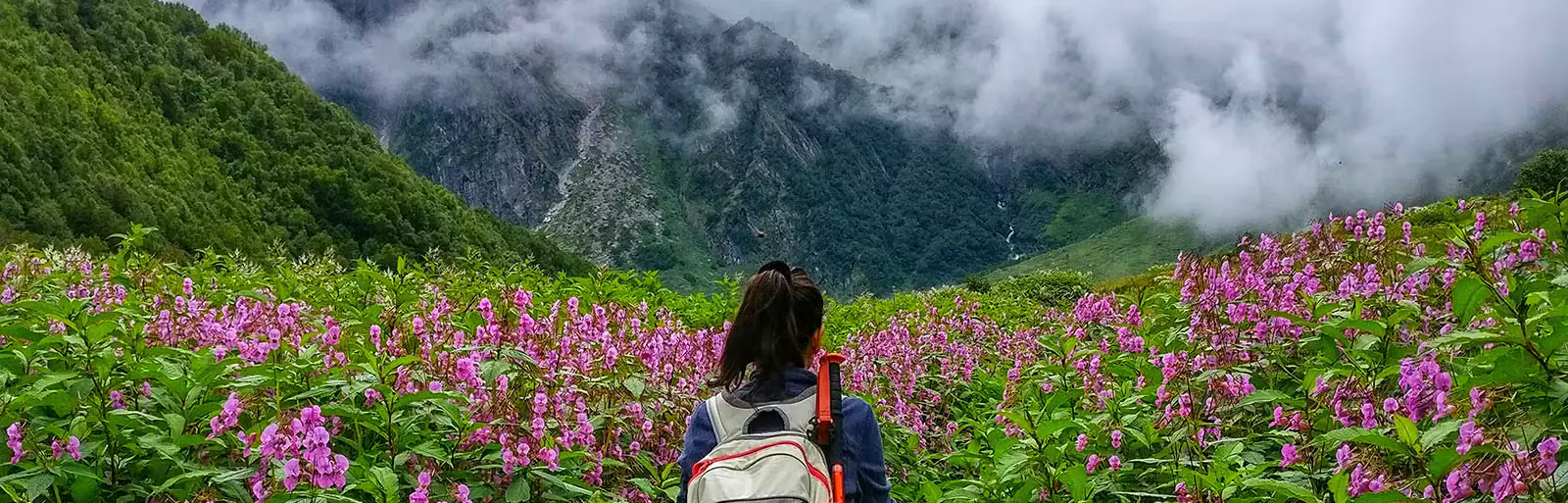 Valley Of Flower