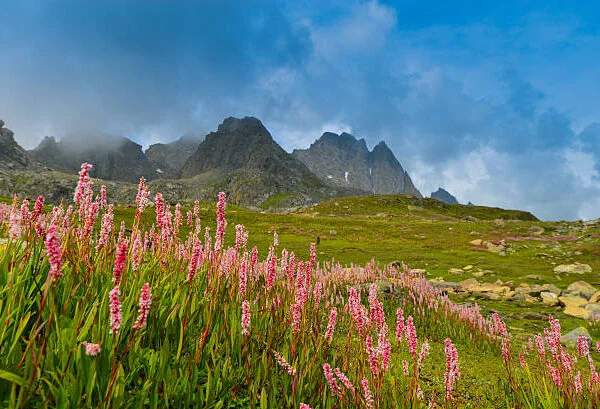 Trekking trail